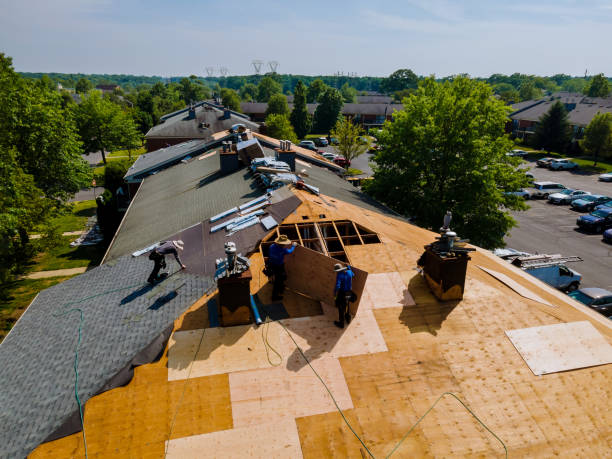 Trusted Roof Replacement service in Seaboard, NC - Brentwood Metal Roofing